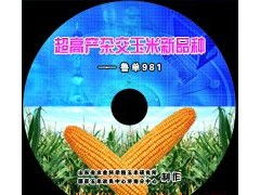 濟(jì)南光盤制作、刻錄與印刷一站式服務(wù)全解析